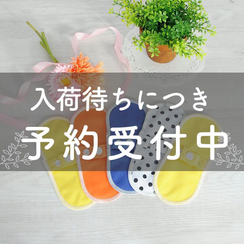 布おりものシートまとめ割セット[真夏のフルーツカラー]