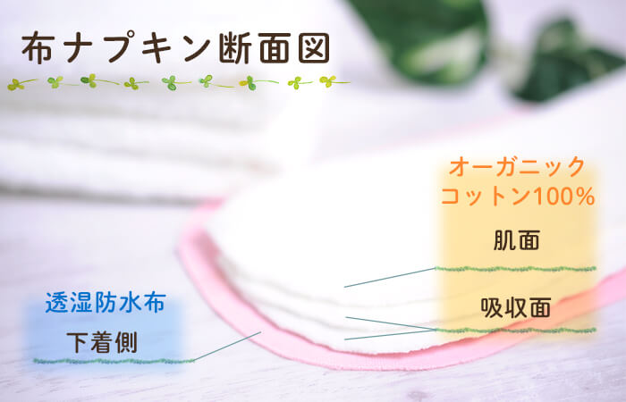 布ナプキン断面図をチェック