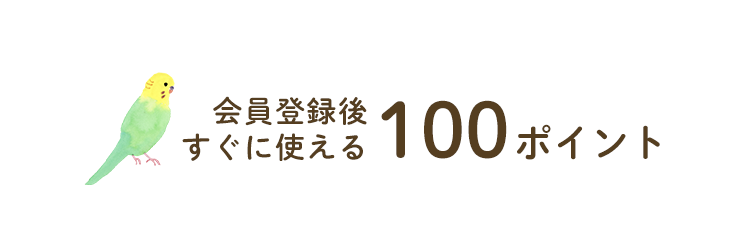 会員登録ですぐに使える100ポイントプレゼント