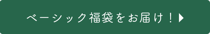 新春福袋をお届け！