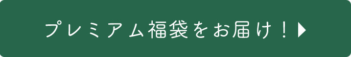 新春福袋をお届け！