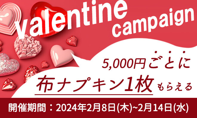 ★バレンタイン限定プレゼントキャンペーン★5,000円ごとに布ナプ+1枚もらえる♪