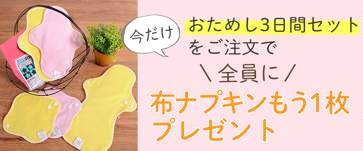 お試し3日間セットで布ナプキン1枚プレゼント