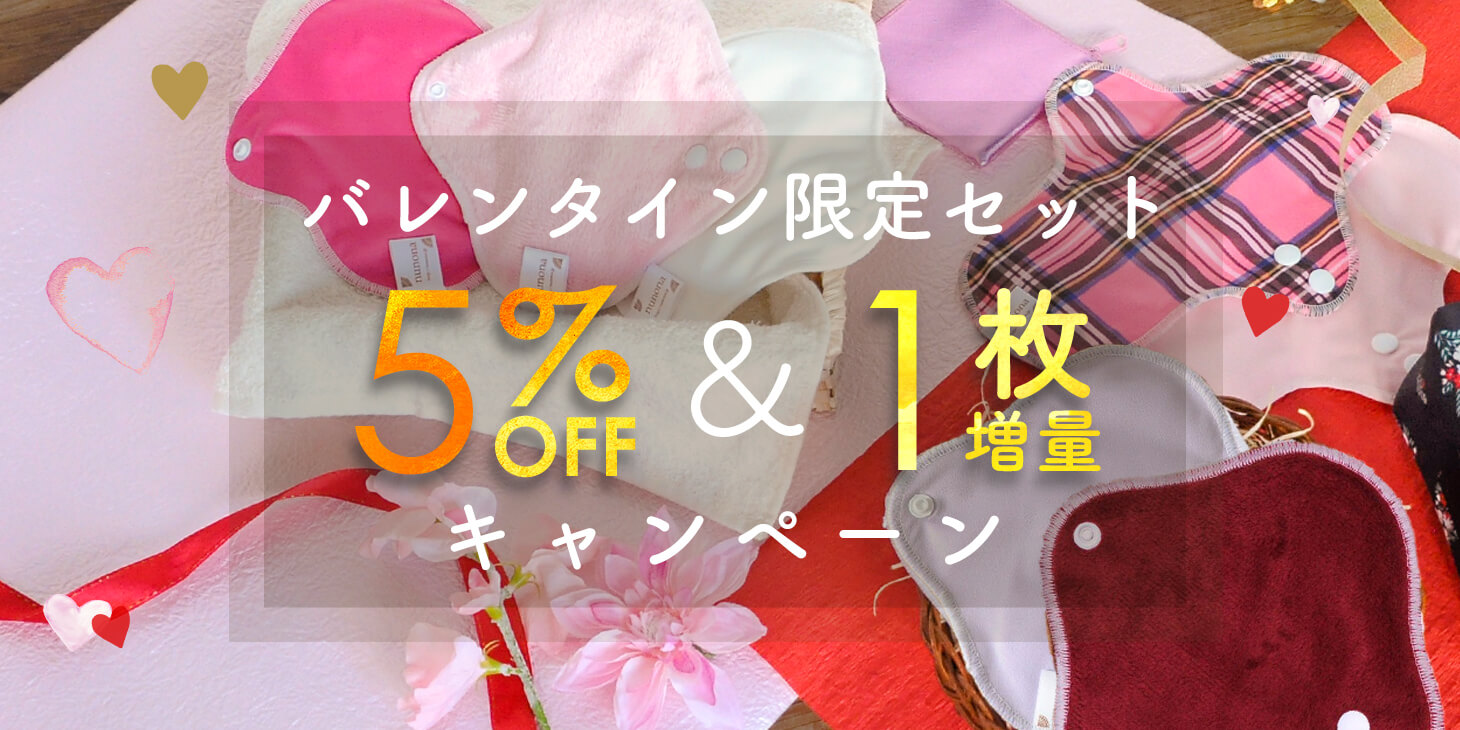 バレンタインセット5%OFF&布ナプ1枚プレゼント