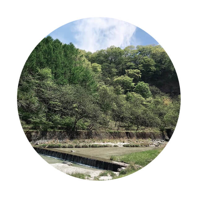 「私は最初、否定派でした」MC様