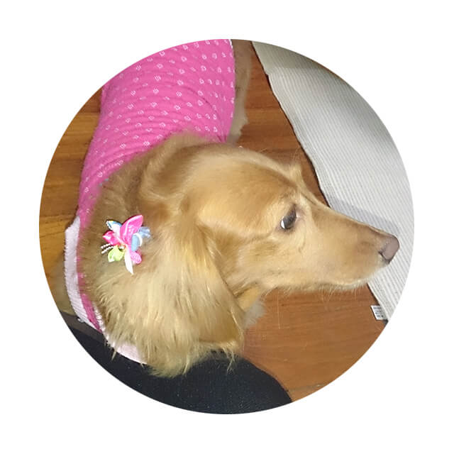 「nunonaさんに出逢えて本当に良かったです。」はる様